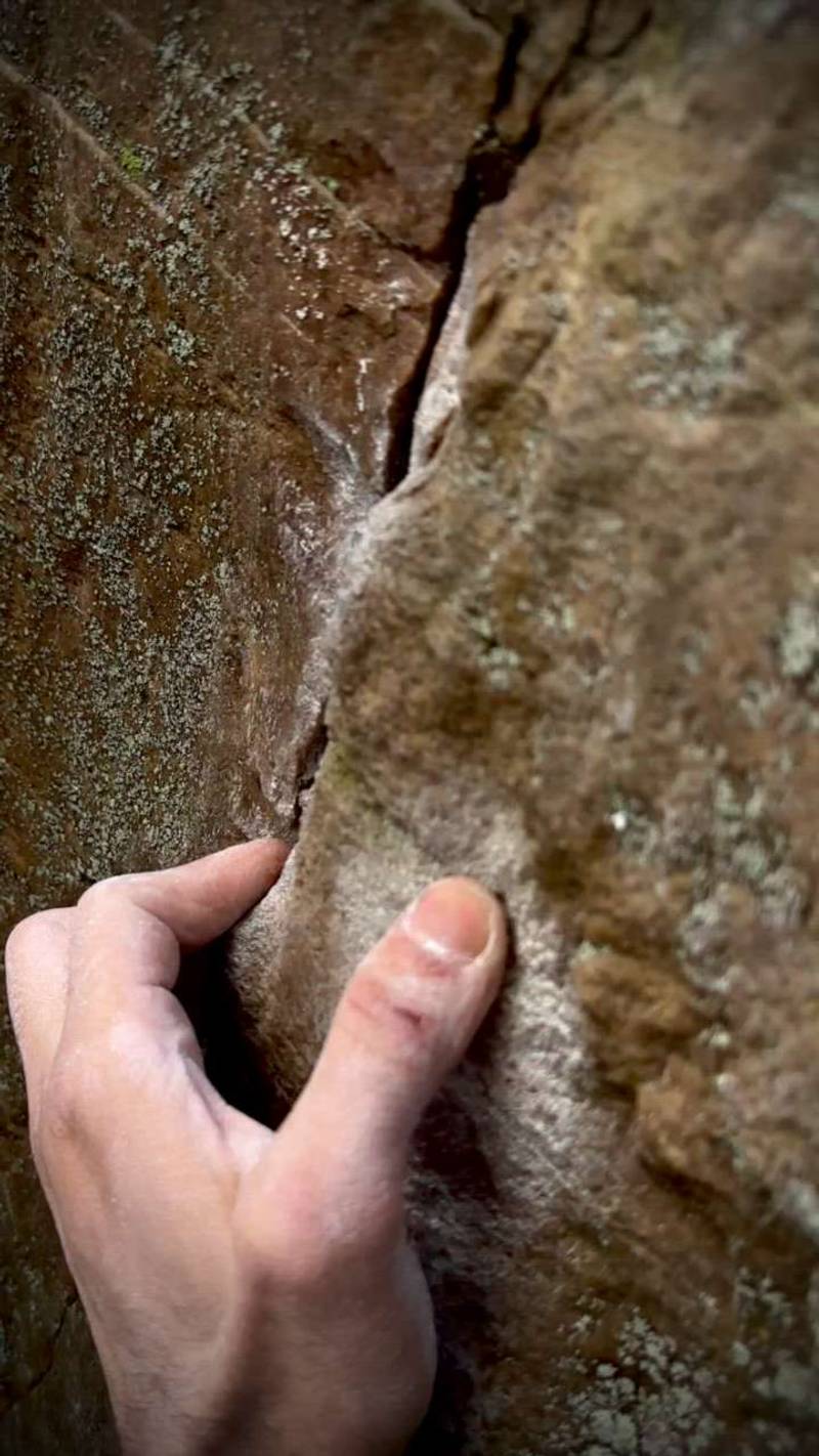 Power of Tuna v8, The Nooks - Beta Video from Theitmann