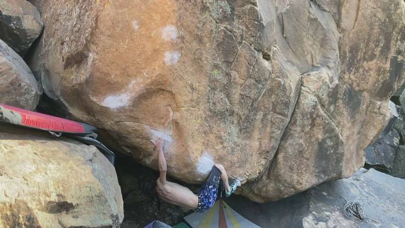 Manual labor v11, Roy - Beta Video from taters