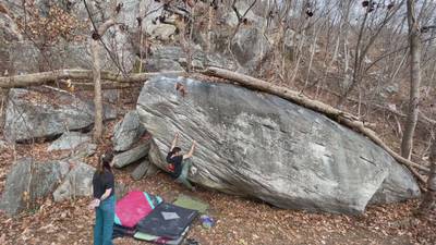 Three Little Birds v4, Rumbling Bald - Beta Video from Dfigs
