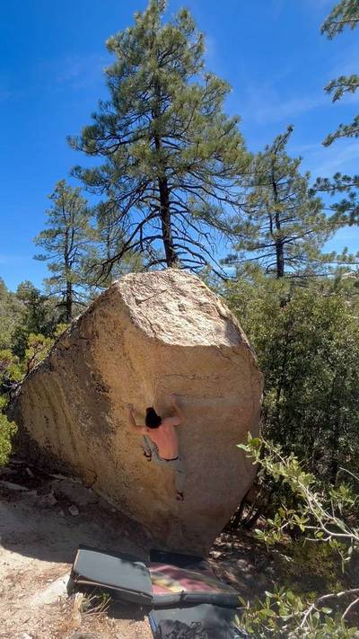 Evolver Sit v8, Horse Flats - Beta Video from Daddison